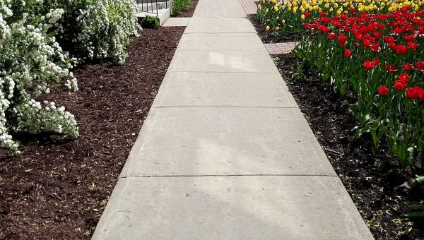 Cost of Cement Sidewalk Installation in Anaheim