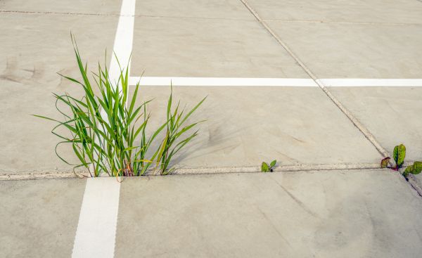 Cost of Concrete Parking Installation in Anaheim
