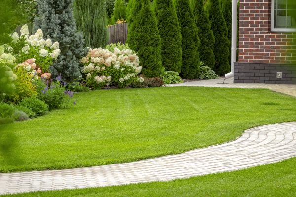Cost of Landscape Walkway Installation in Anaheim