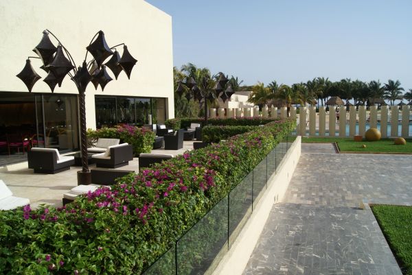 Cost of Patio Path Installation in Anaheim